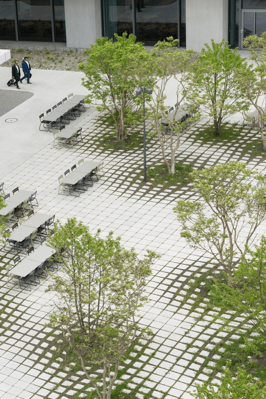 Courtyard landscape with trees and a geometric paving pattern