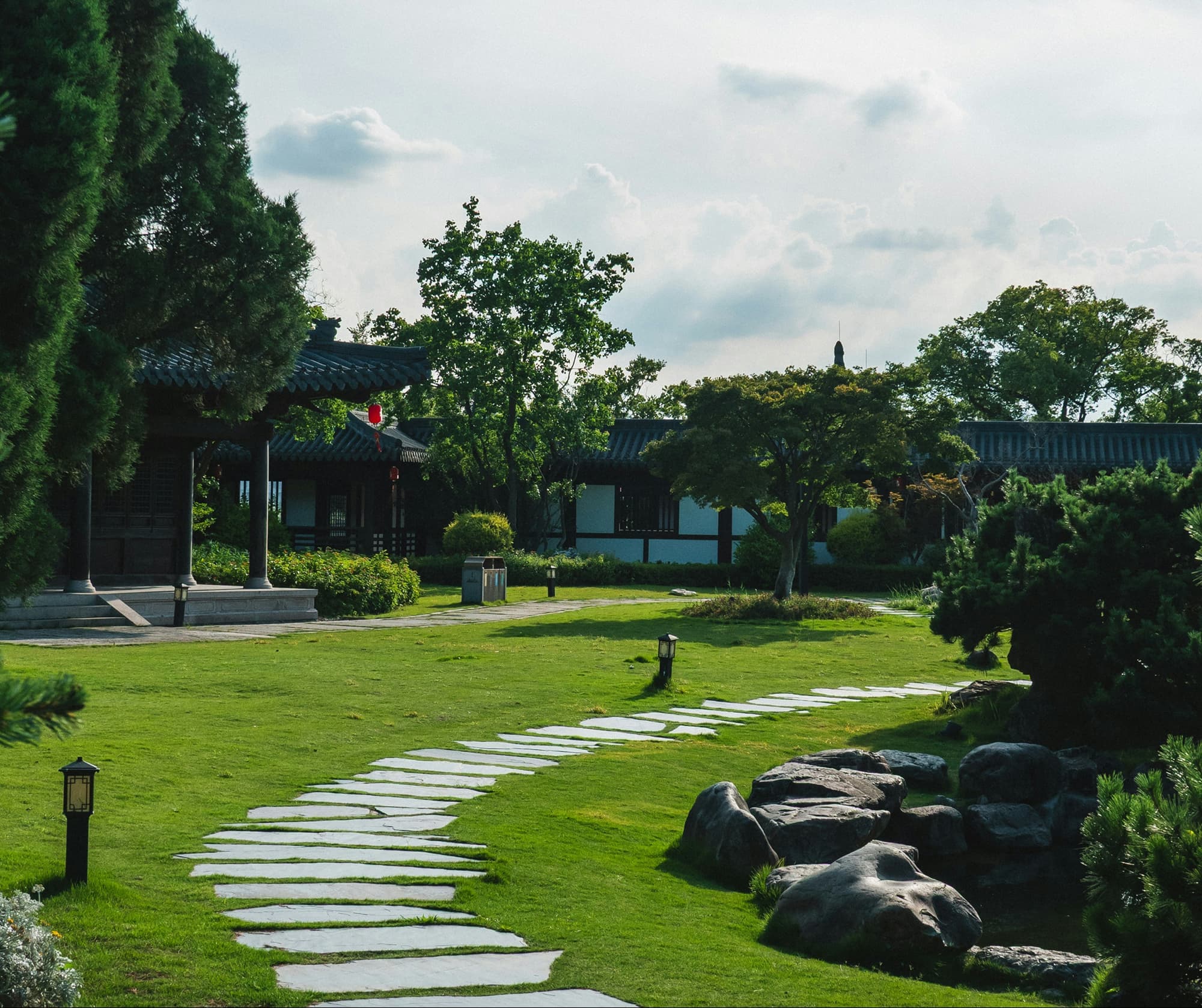 A winding path through a lush contemporary garden