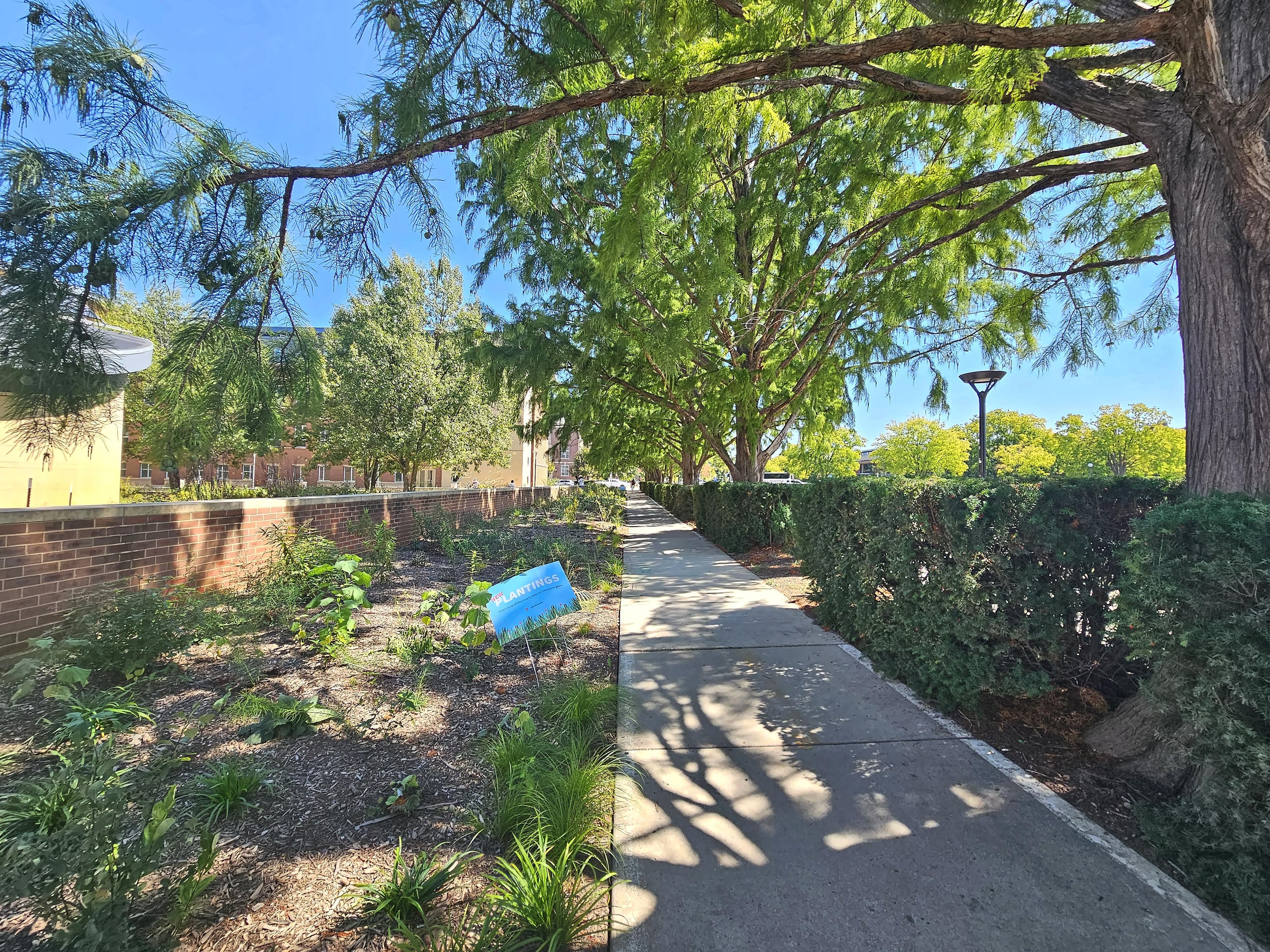 Landscape Design