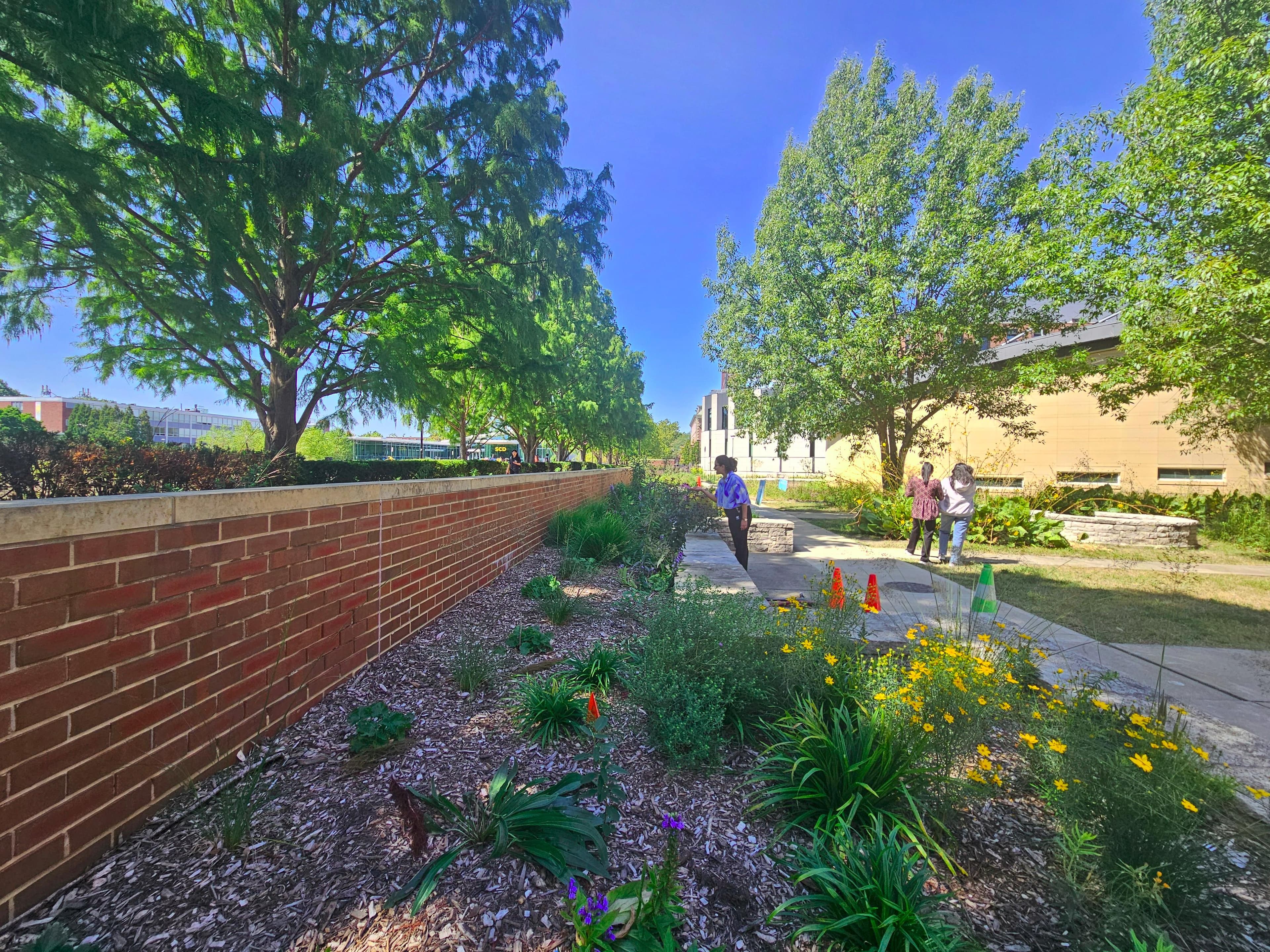 Butterfly Garden Thumbnail